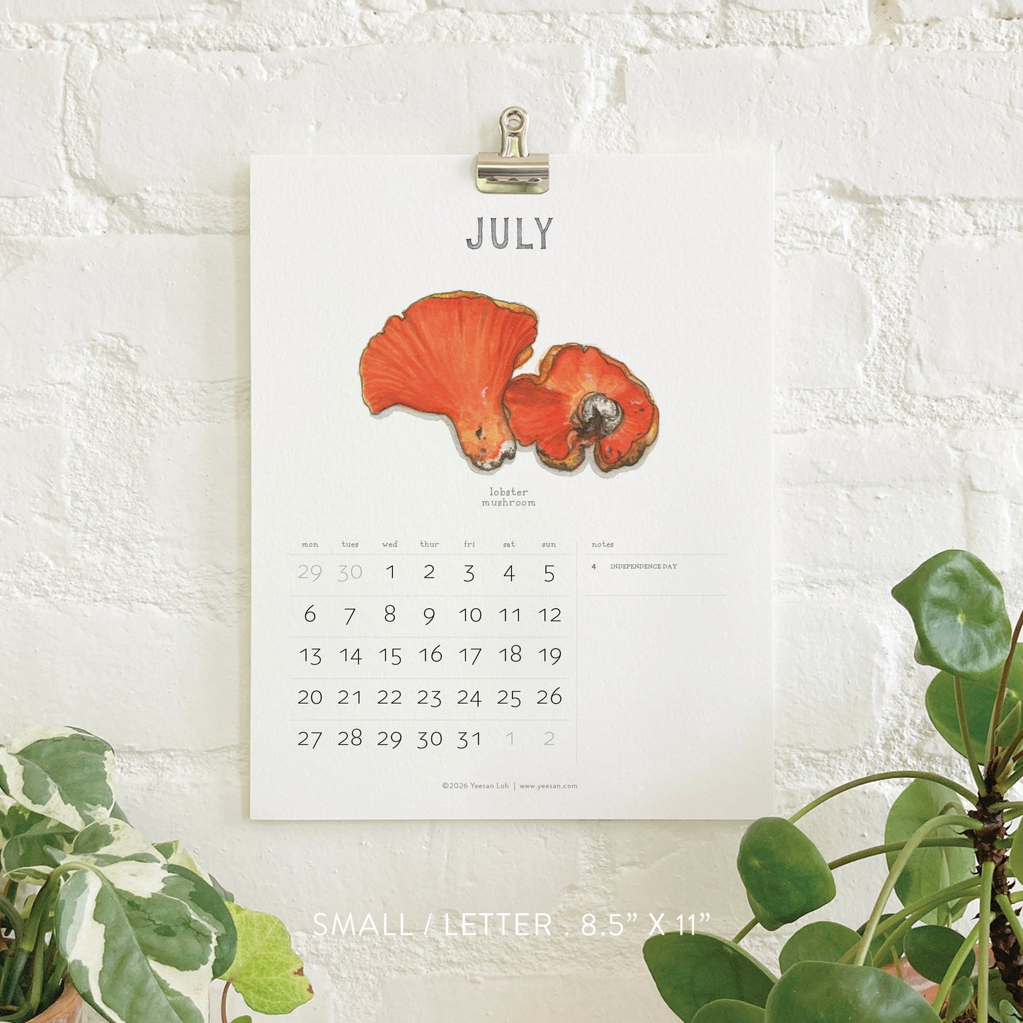 2026 Calendar- Small - Mushrooms