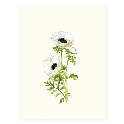 Anemone Blossoms Card