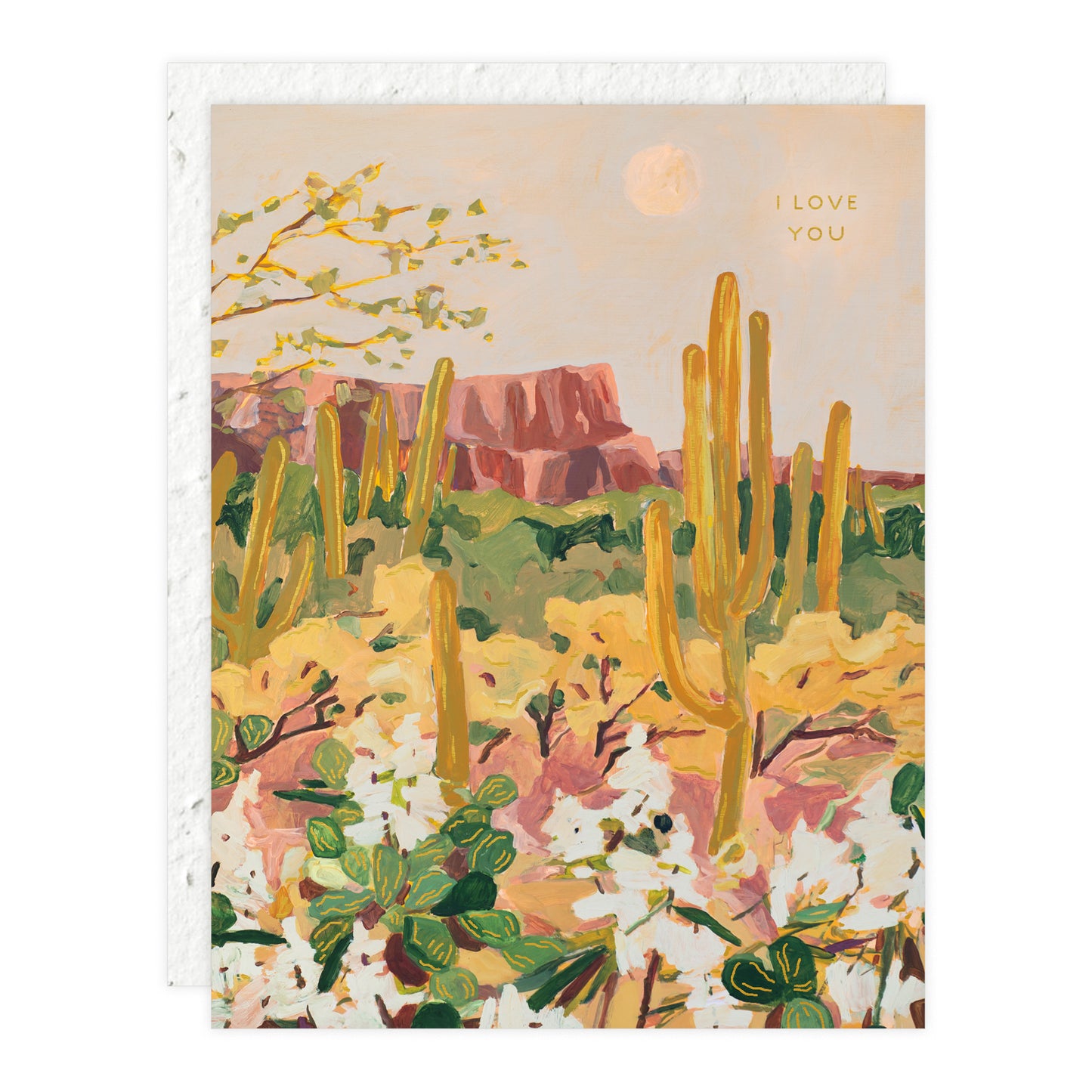 Desert Moonlight Love Friendship Card Seedlings