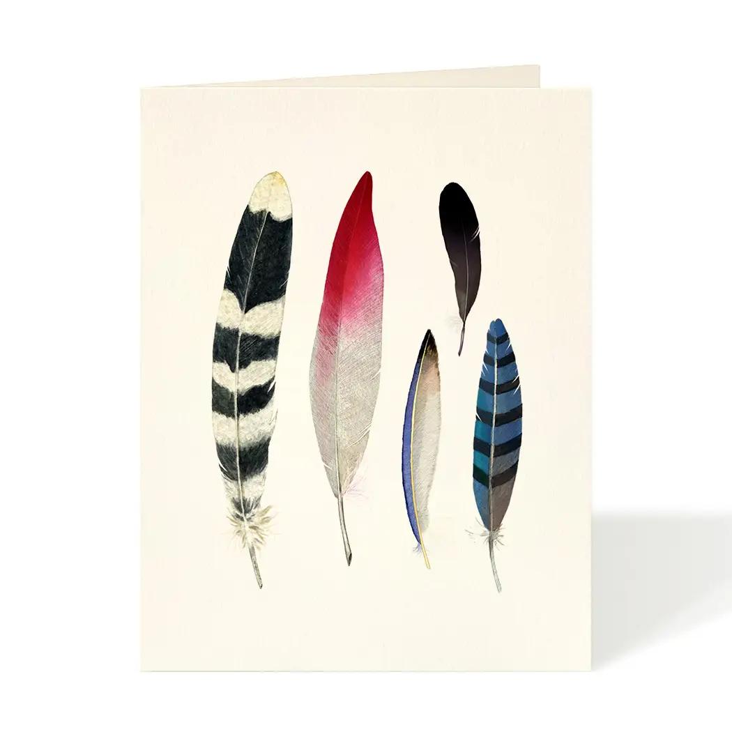 Feather Collection Everyday Card