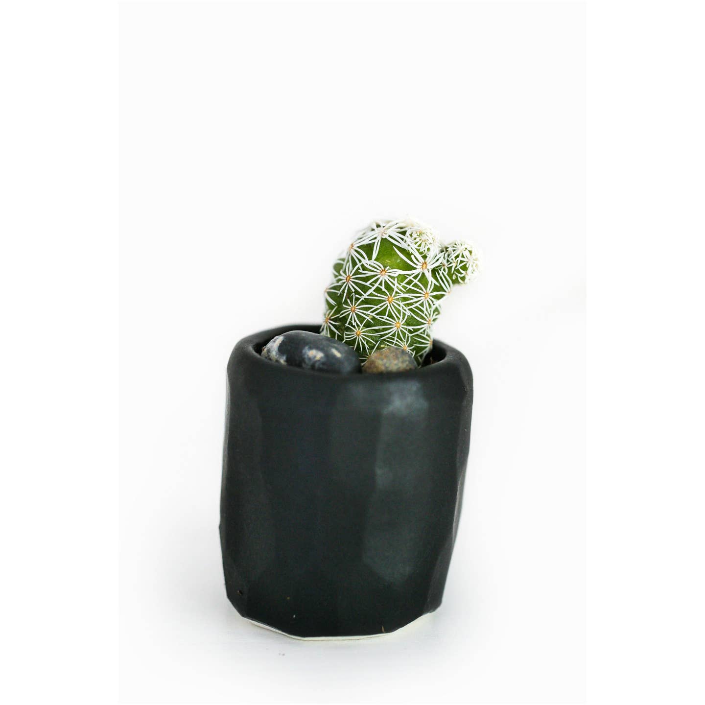 Mini Cactus Kit with Handmade Ceramic Vase