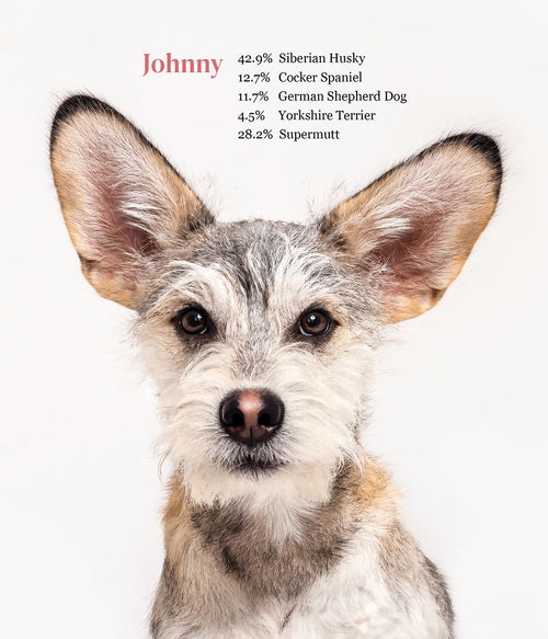 Load image 1 in gallery view