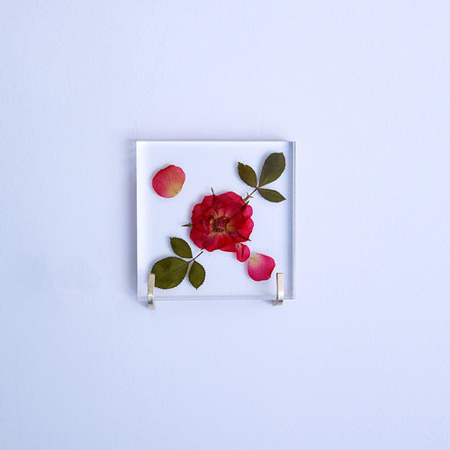 Load image 1 in gallery view