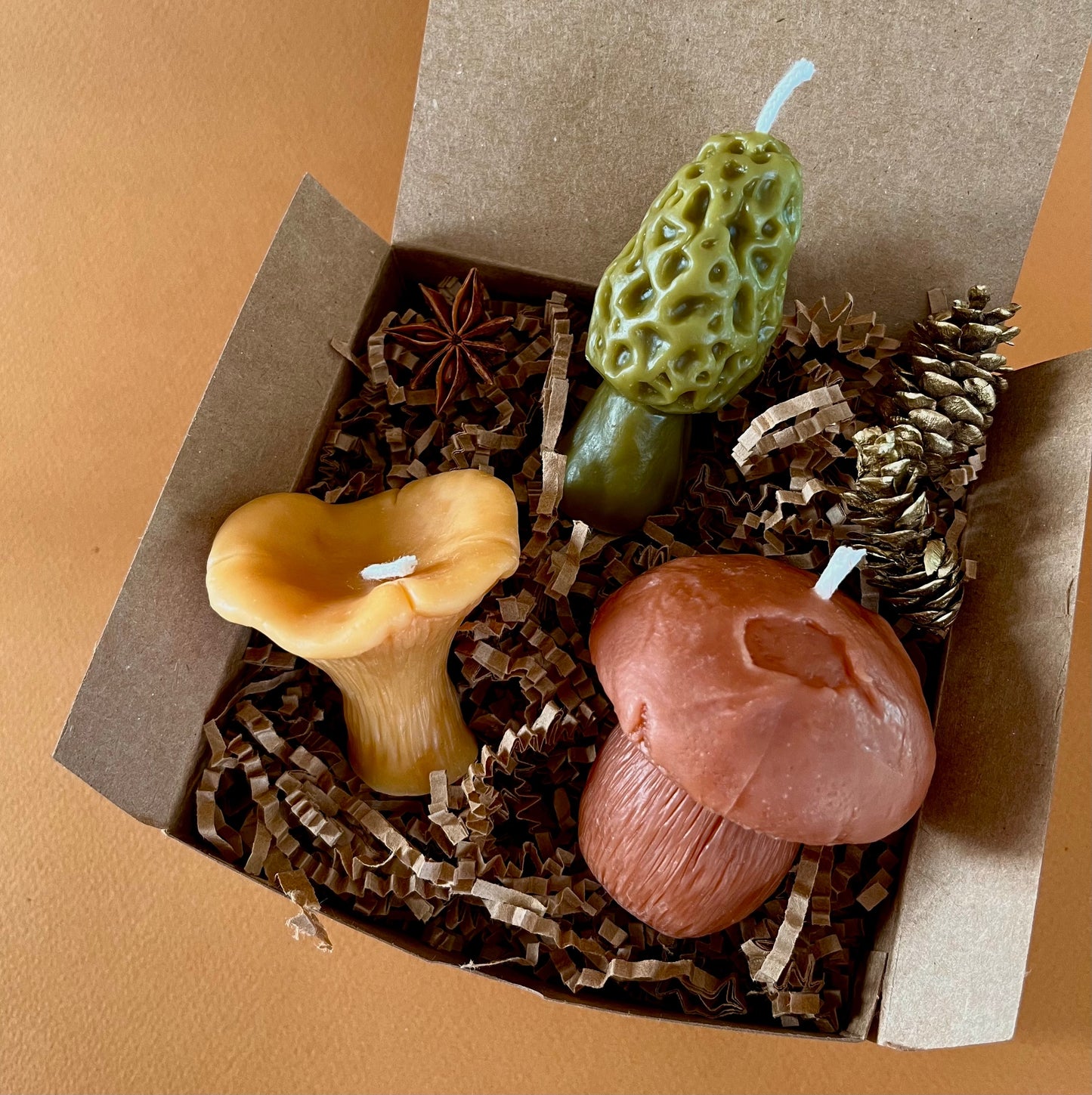 Mushroom Lover Candle Gift Box | Morel, Chanterelle & Pennybun