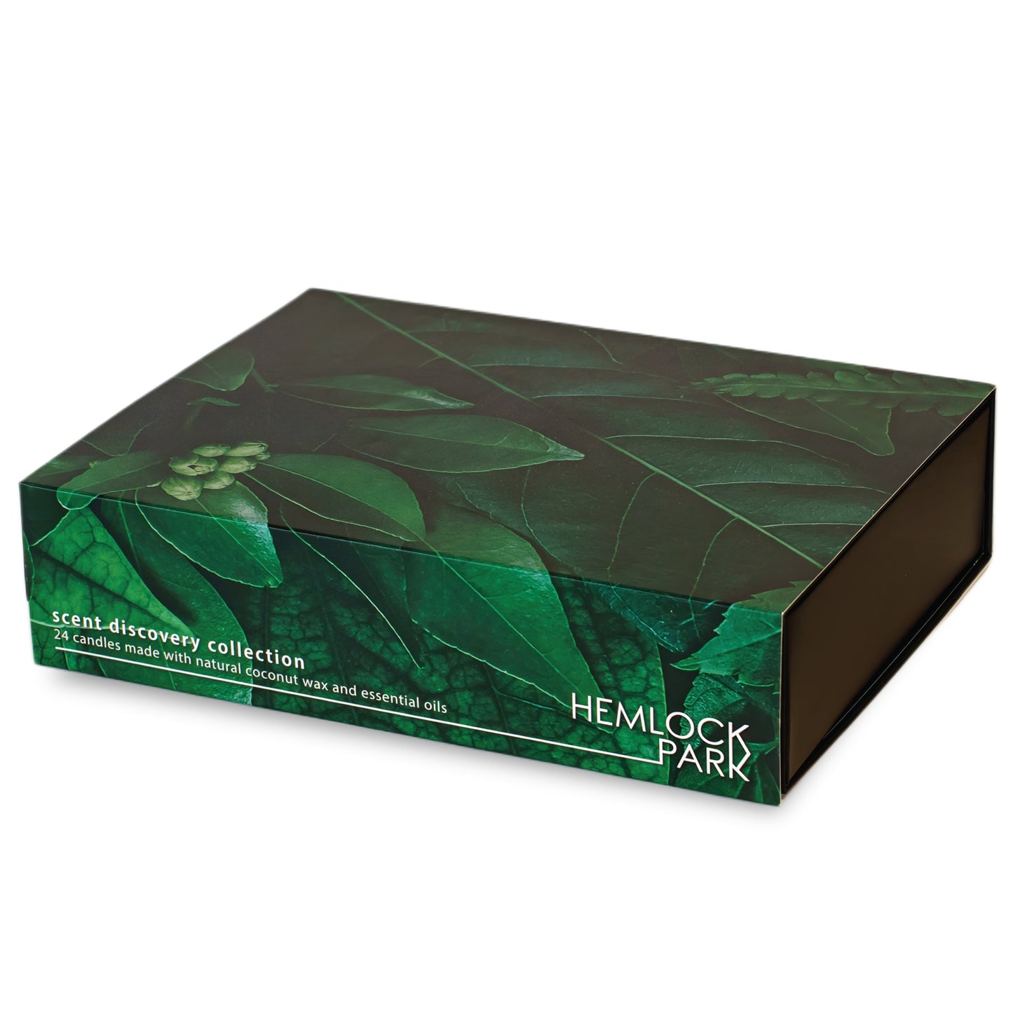 Scent Discovery Set of 30 Tea Lights Hemlock Park
