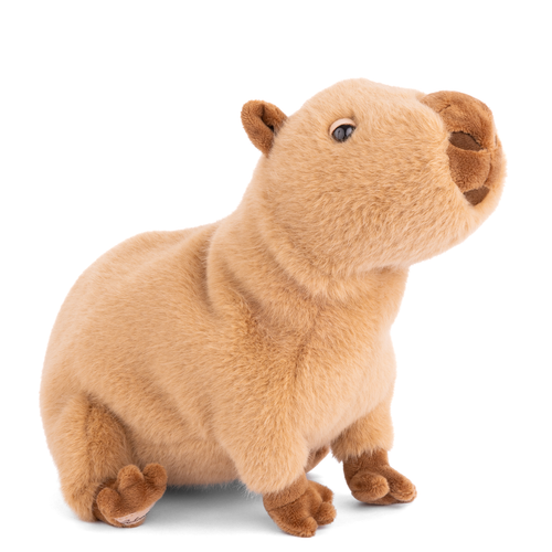 Load image 1 in gallery view. Theo Capybara Plush