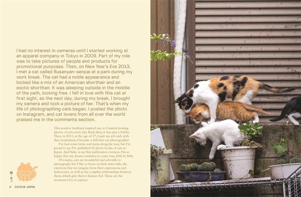 Neko: Cats of Japan