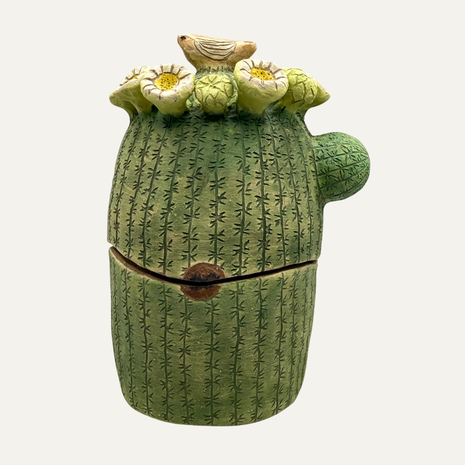 Saguaro Box with Bird and Flowers