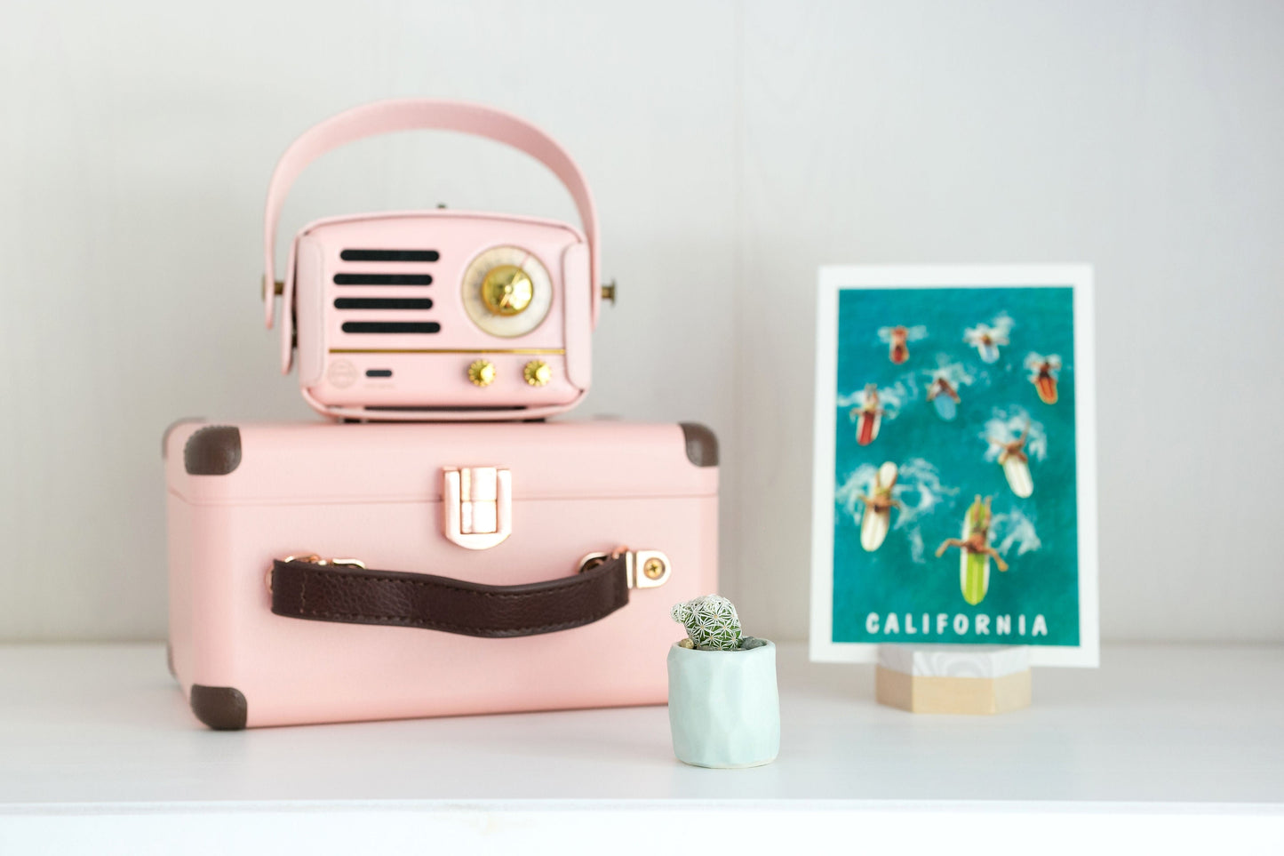 Mini Cactus Kit with Handmade Ceramic Vase