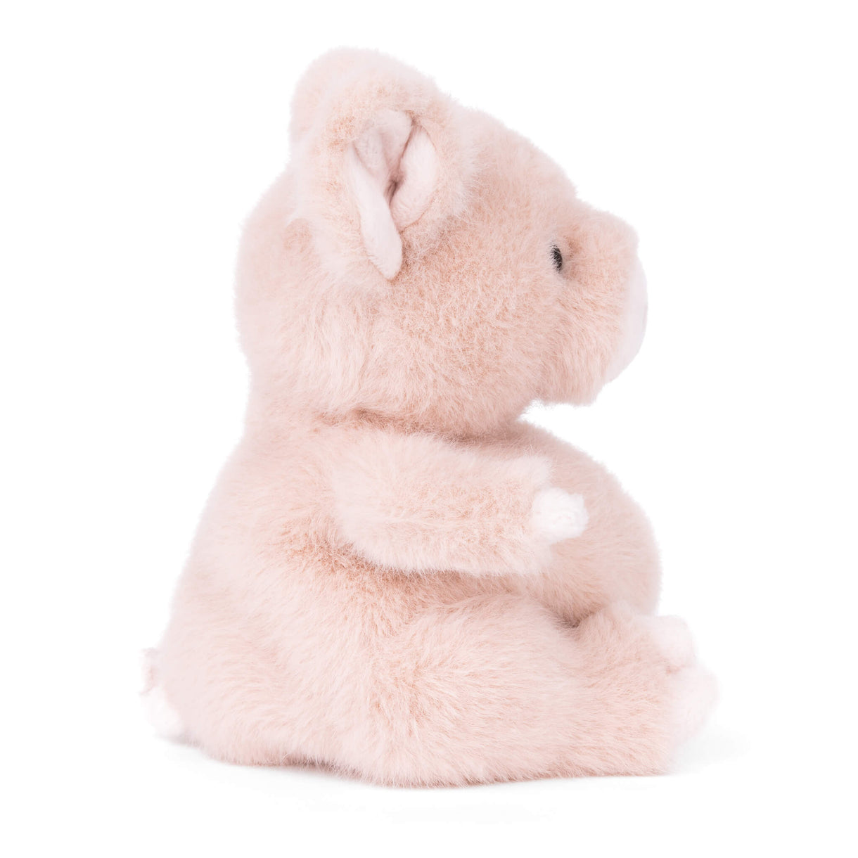 Baby Oink Plush Bukowski Bears
