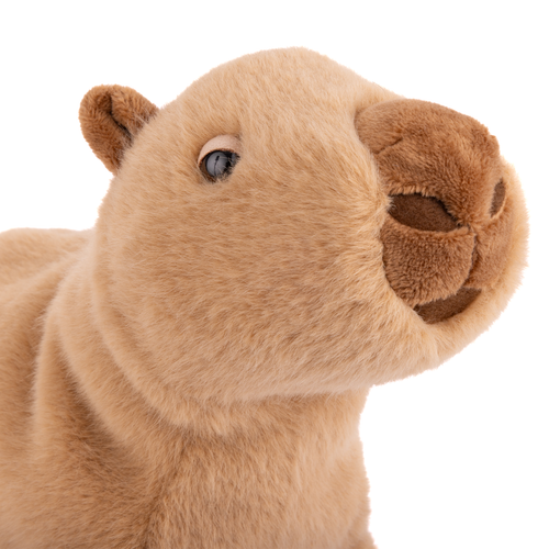 Load image 1 in gallery view. Theo Capybara Plush