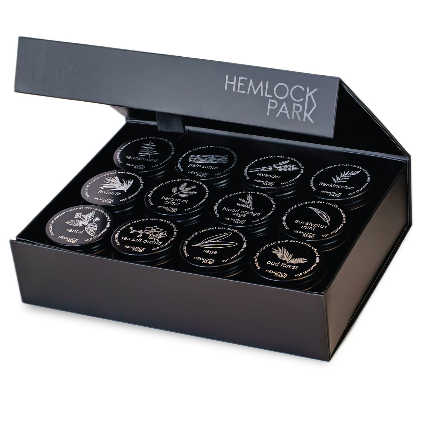 Scent Discovery Set of 30 Tea Lights Hemlock Park