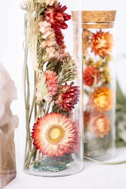 Earth Vessel With Crystals - Large