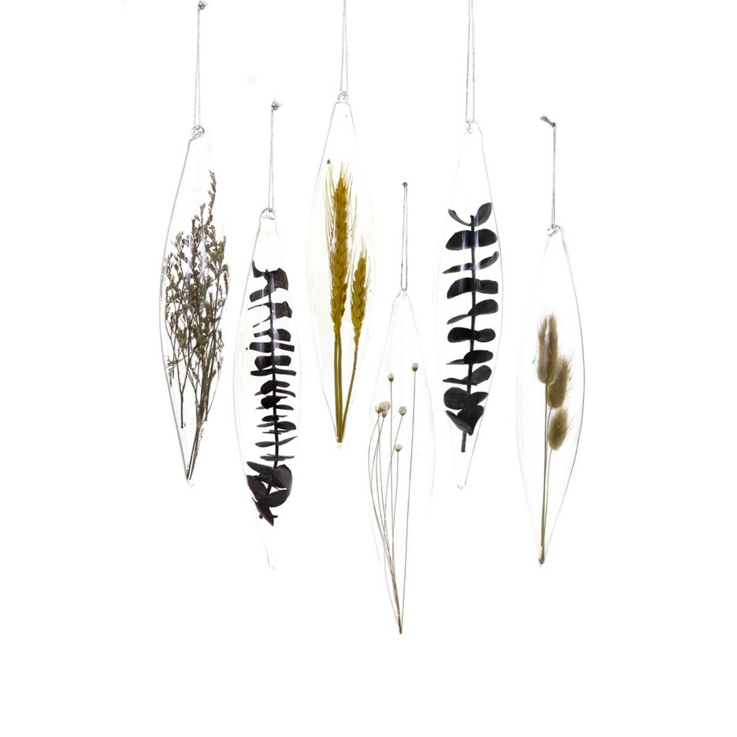 Captured Botanicals Ornament - Large