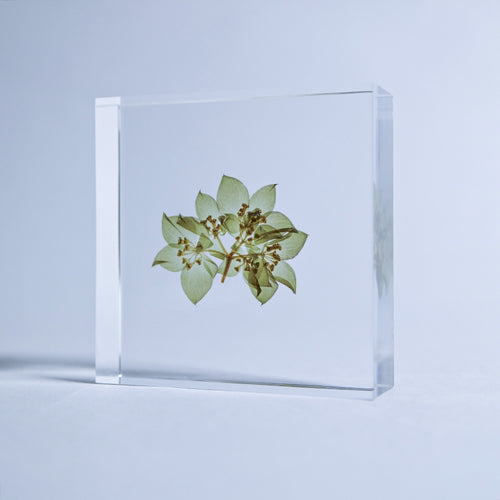 Load image 1 in gallery view