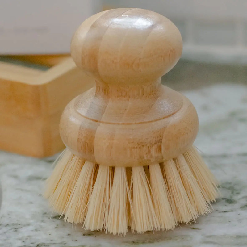 Casa Agave Dish Washing Brush