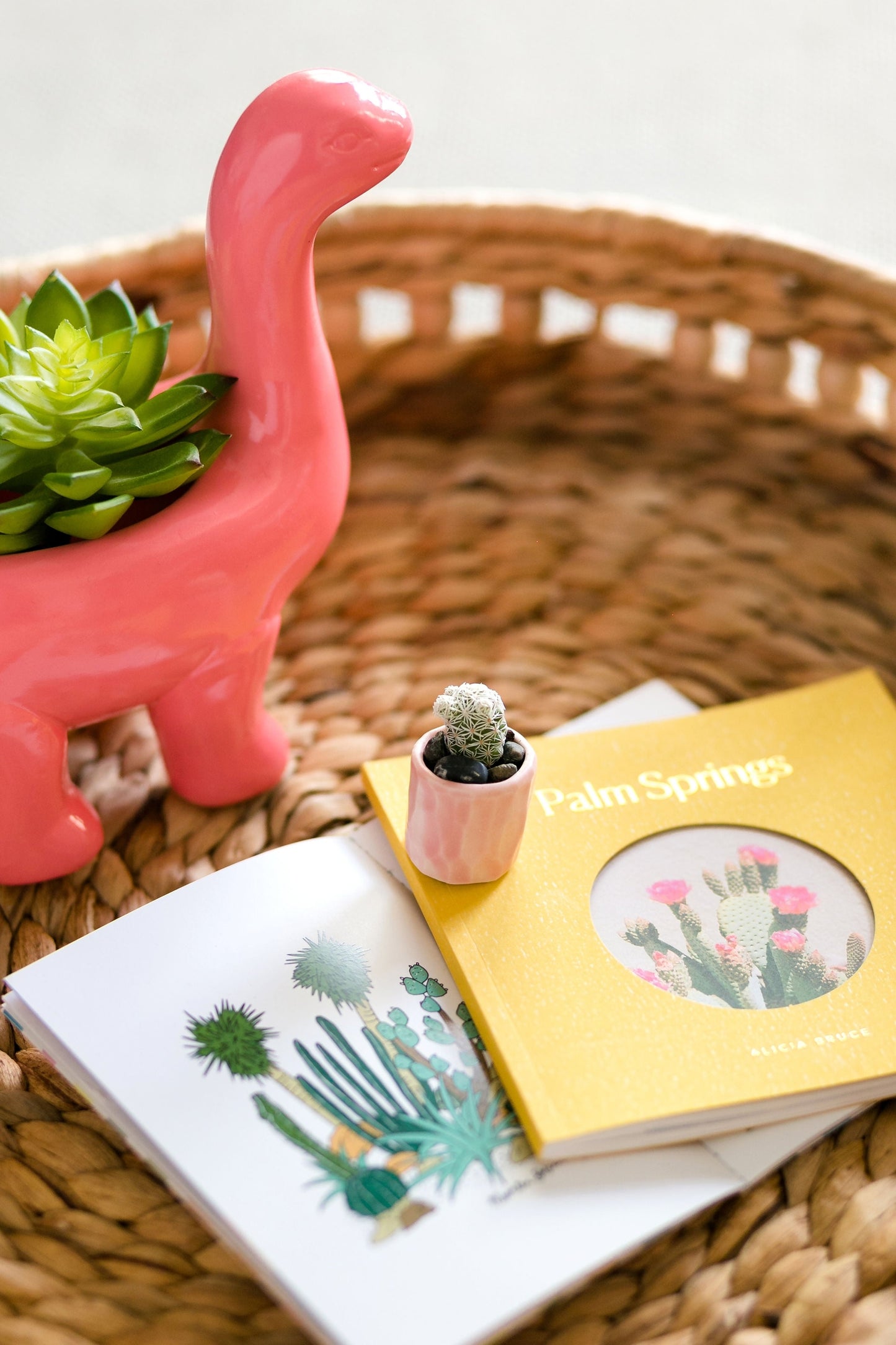 Mini Cactus Kit with Handmade Ceramic Vase