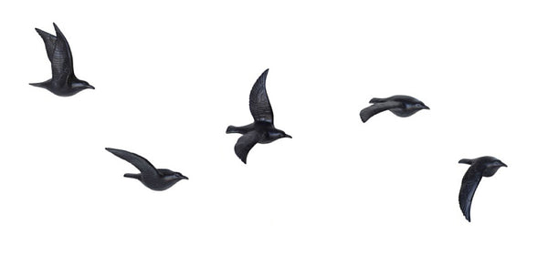 Set of Five Bone China Flying Gulls  - Black