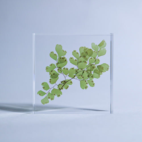 Load image 1 in gallery view