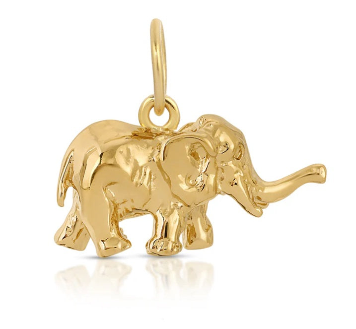 The Wise Elephant Charm