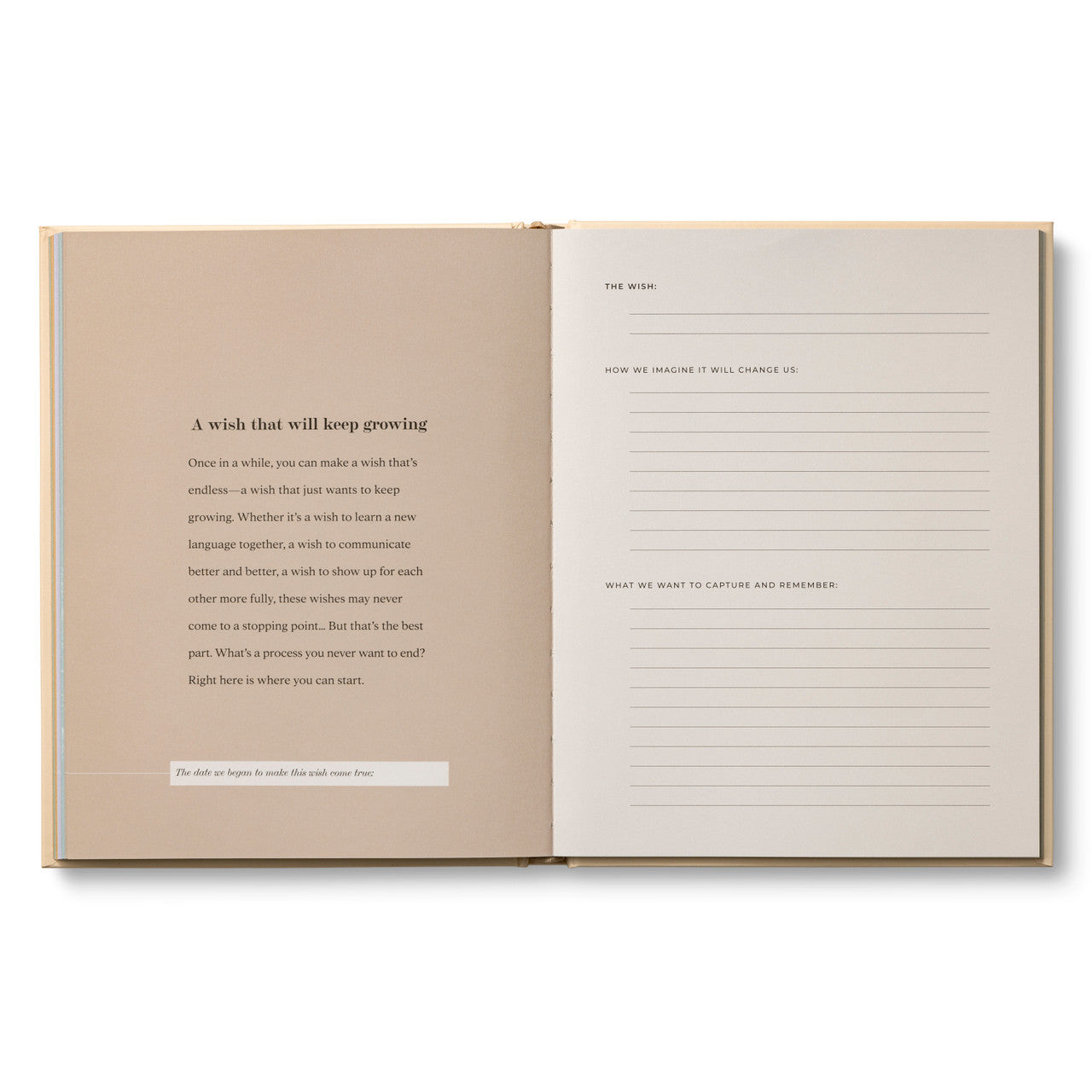 Our Wish List: Life Plans, Big Dreams, and Things We Really Want to Do Together