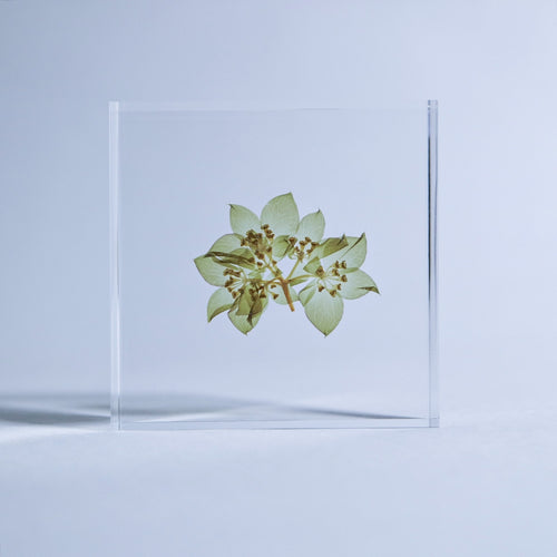 Load image 1 in gallery view