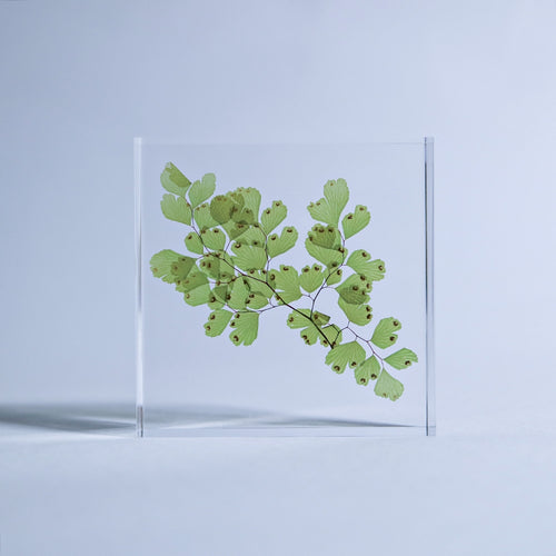 Load image 1 in gallery view