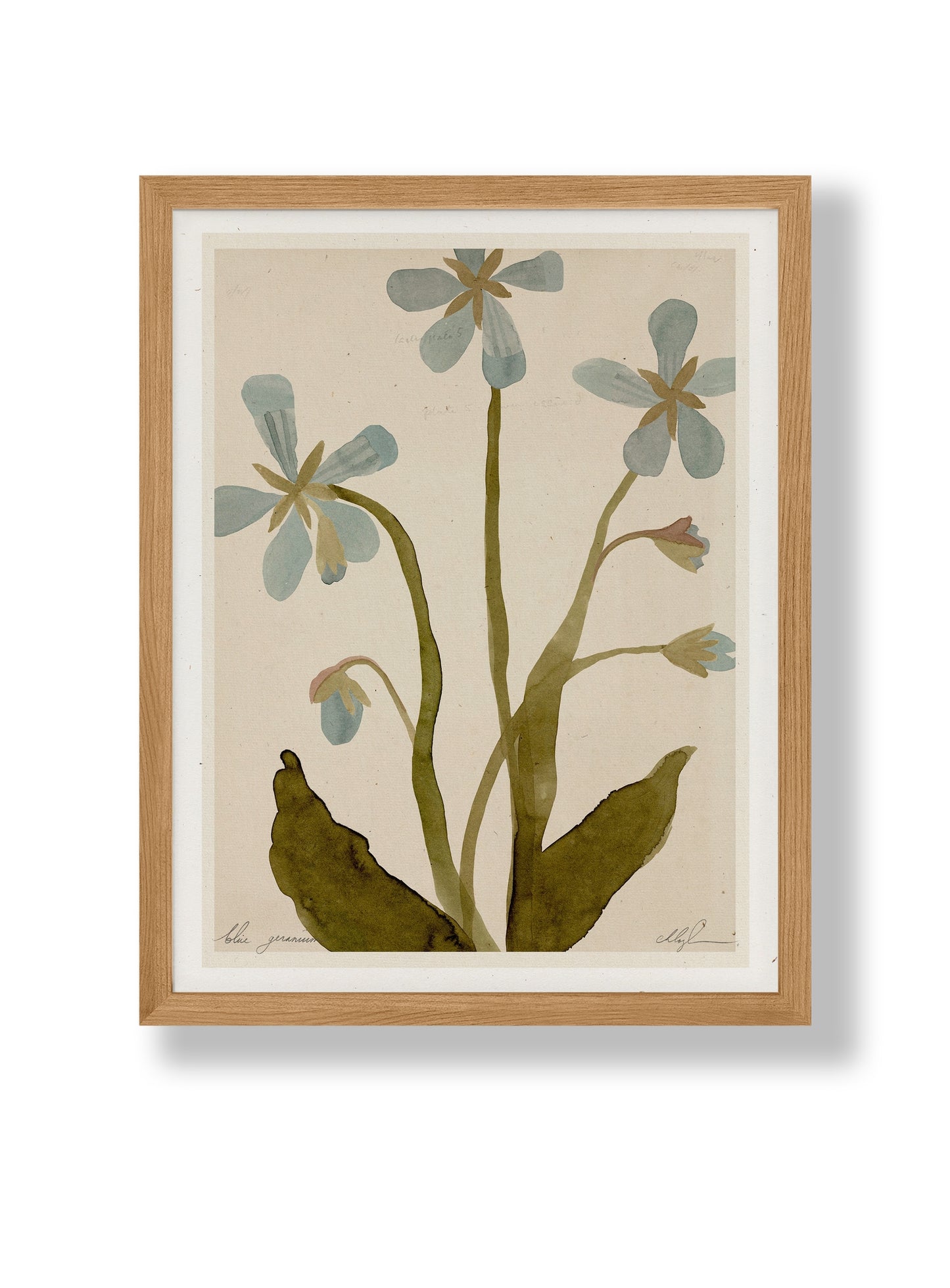 Blue Geranium Print - 8.5 x 11