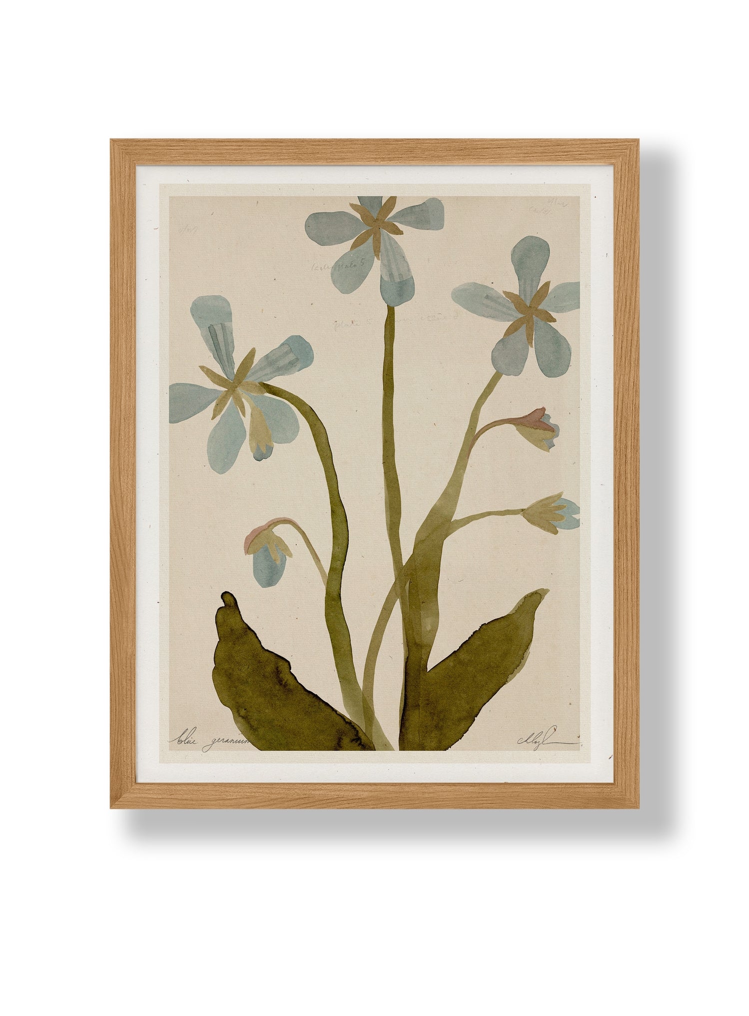 Blue Geranium Print - 8.5 x 11