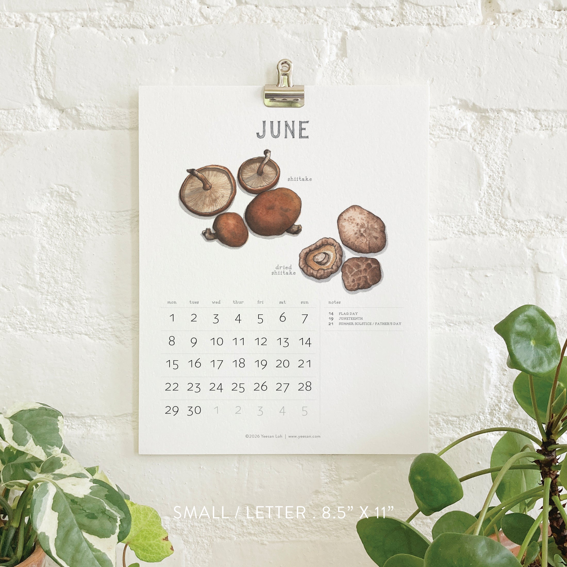 2026 Calendar- Small - Mushrooms