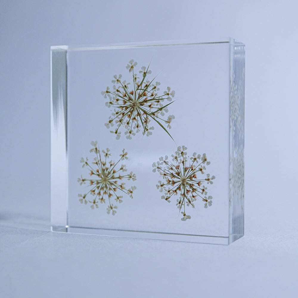 Bishop's Flower Sola Tile