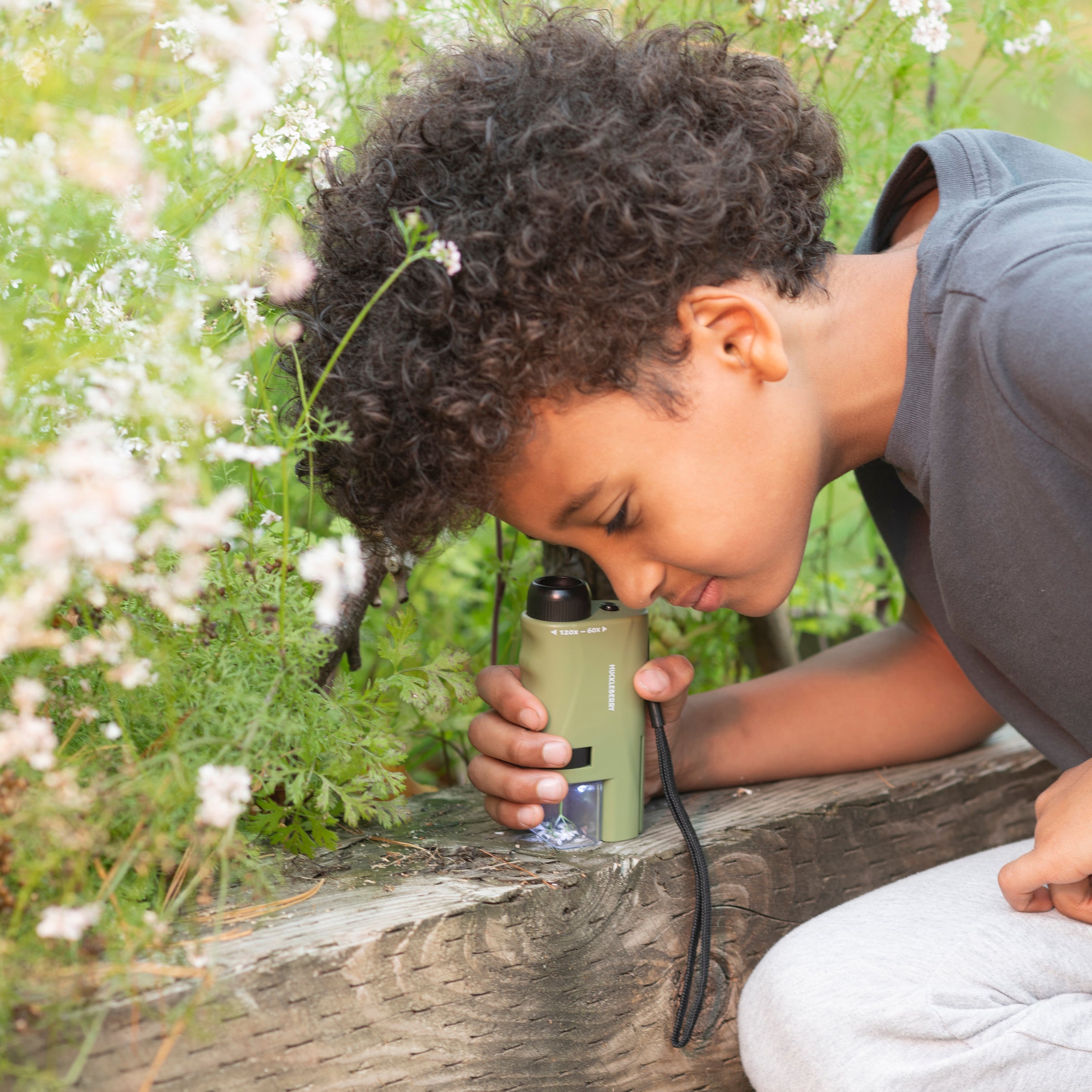 Huckleberry Pocket Microscope Kikkerland