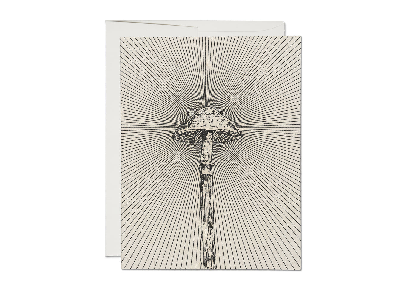 Shroom Everyday Card Red Cap Cards