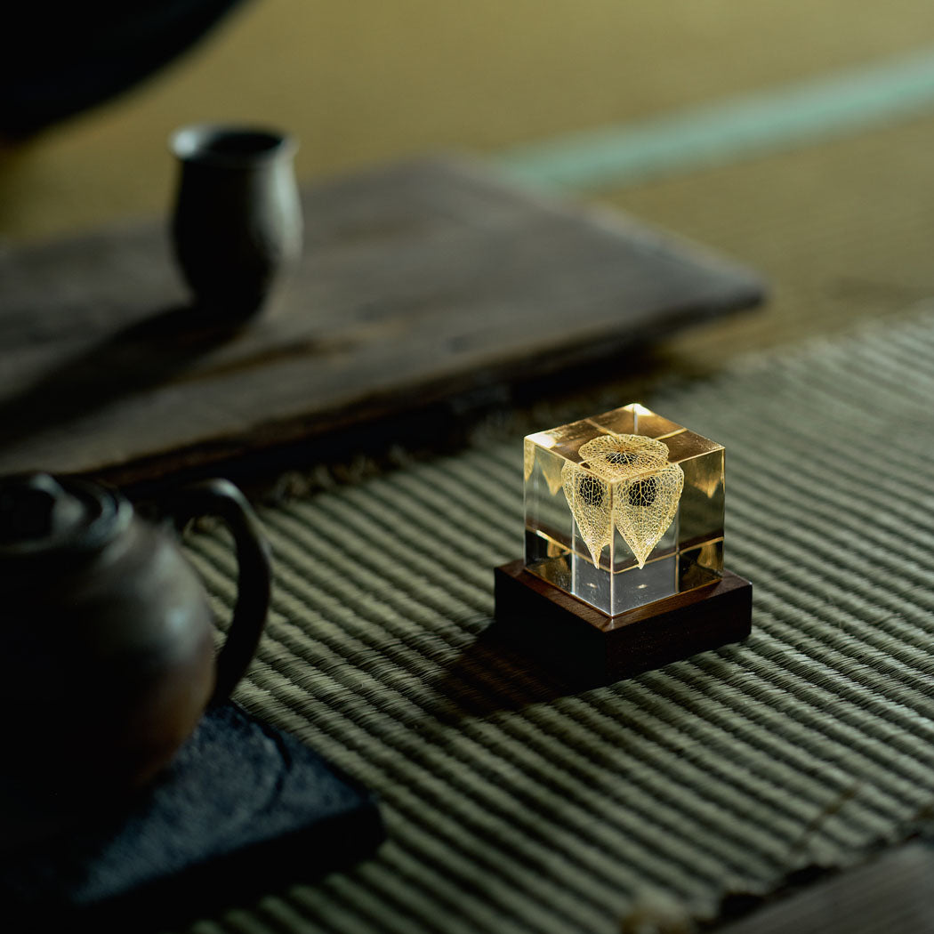 Sola Cube Light Base