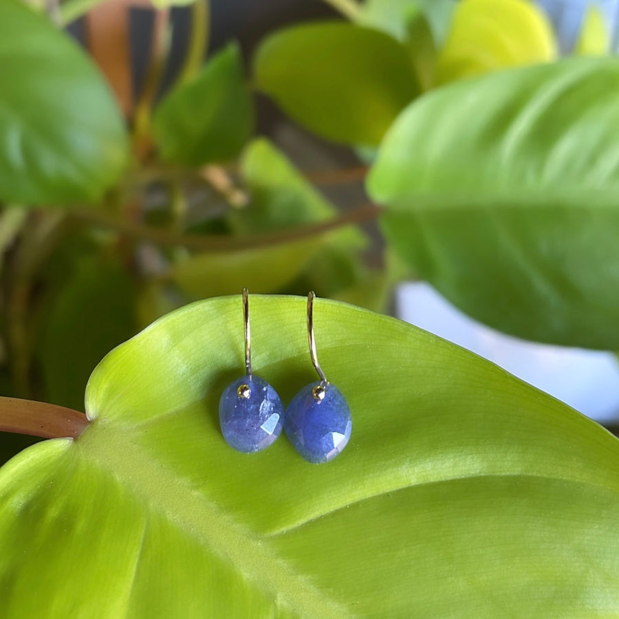 Petite Tanzanite Gold Filled Earring