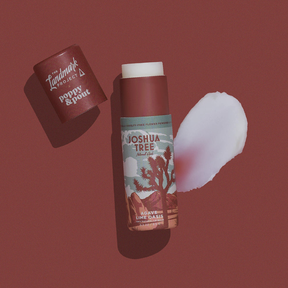 Lip Balm, The Landmark Project - Joshua Tree Agave Lime Oasis