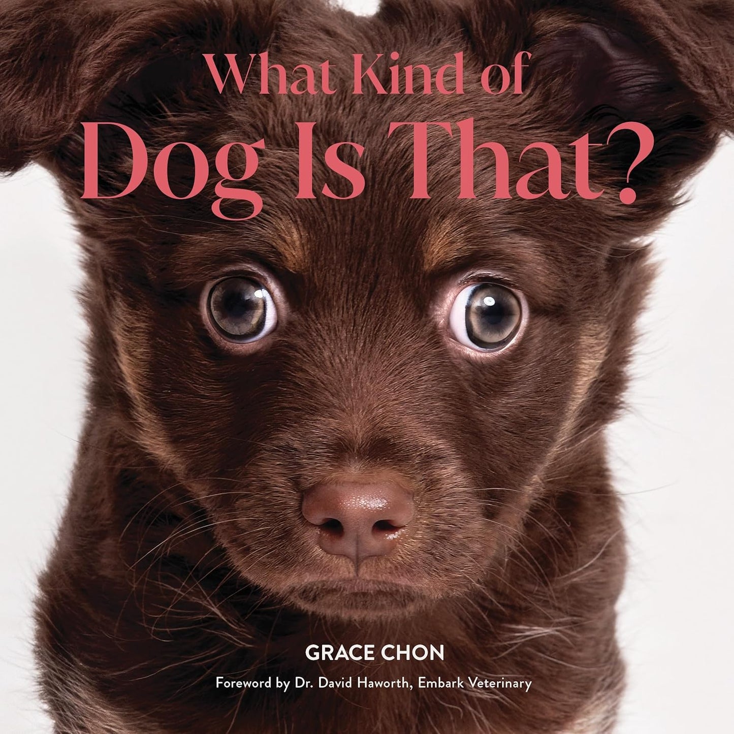 What Kind of Dog is That? - PREORDER