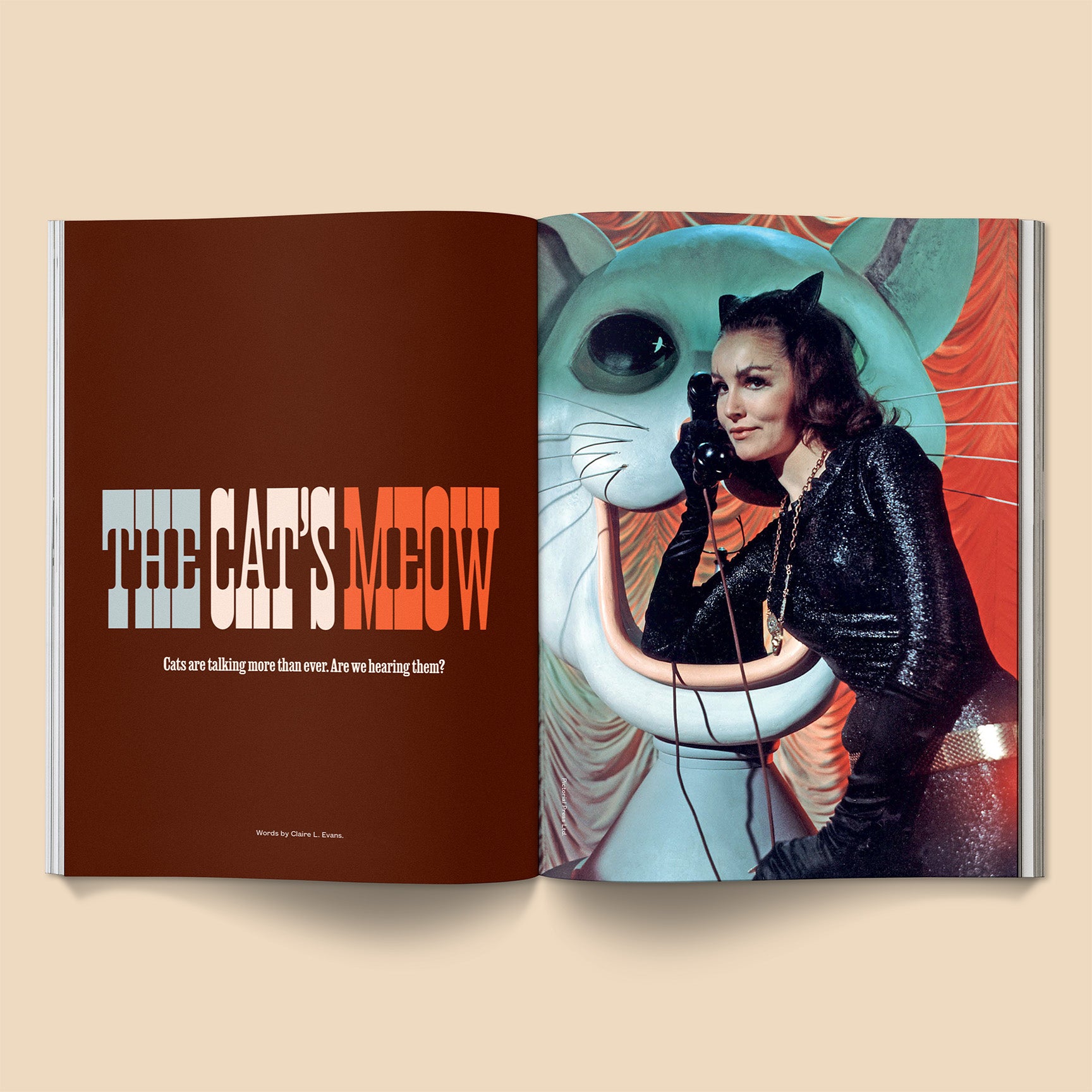 Catnip Magazine - Volume 2