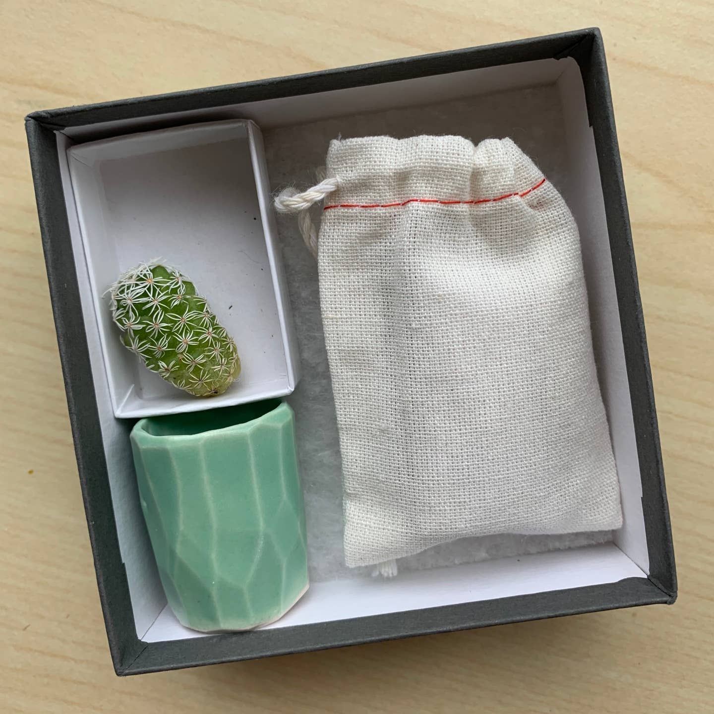 Mini Cactus Kit with Handmade Ceramic Vase