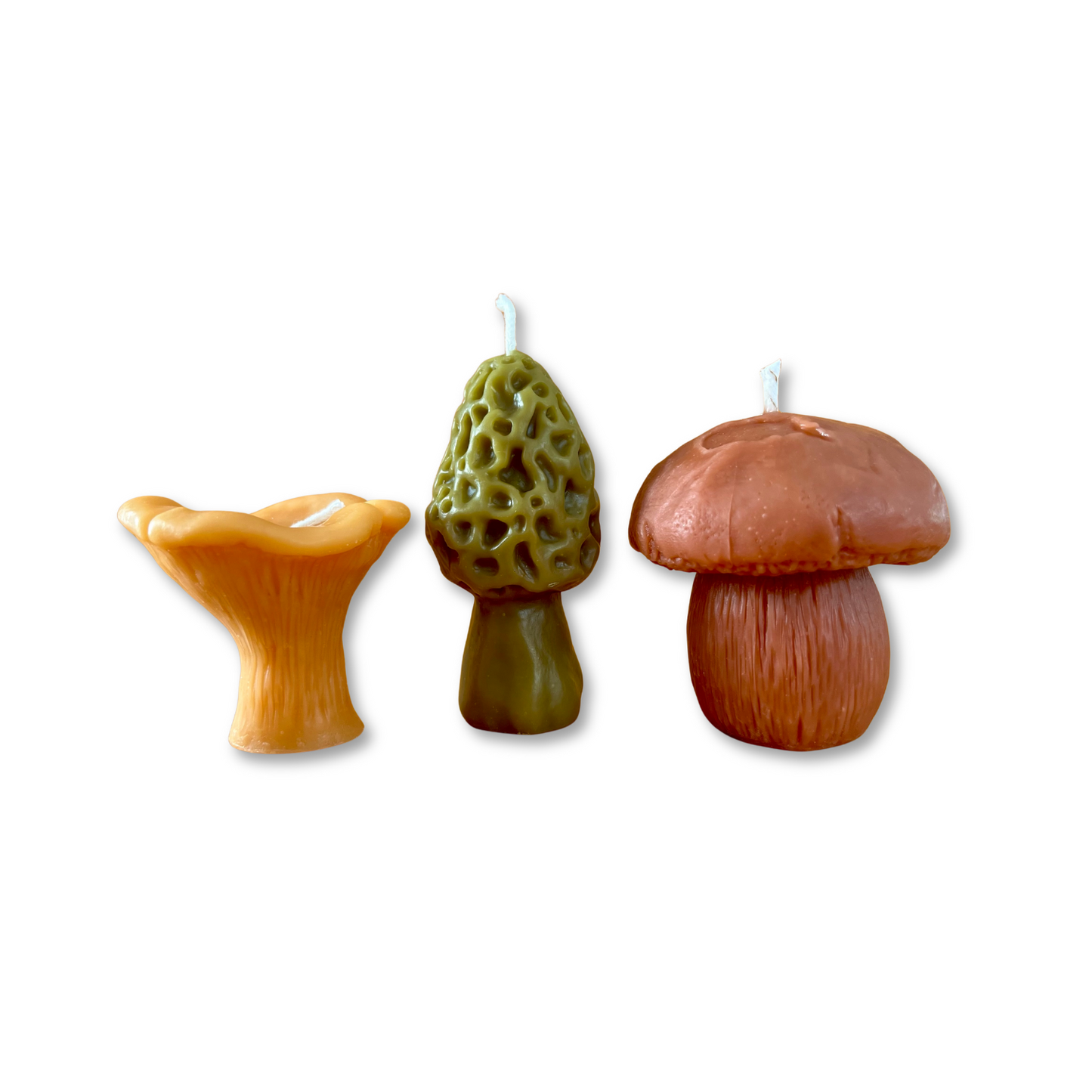 Mushroom Lover Candle Gift Box | Morel, Chanterelle & Pennybun