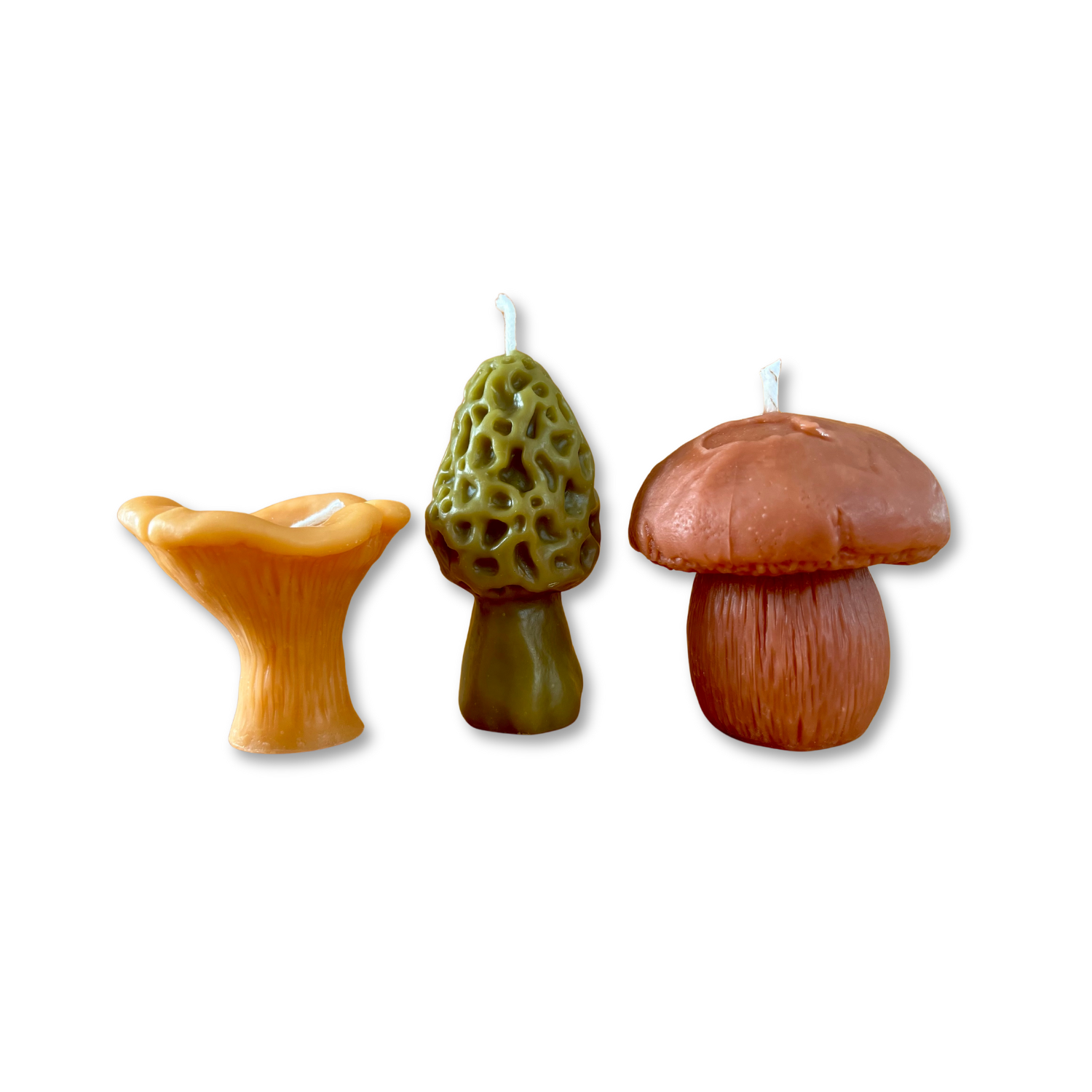 Mushroom Lover Candle Gift Box | Morel, Chanterelle & Pennybun