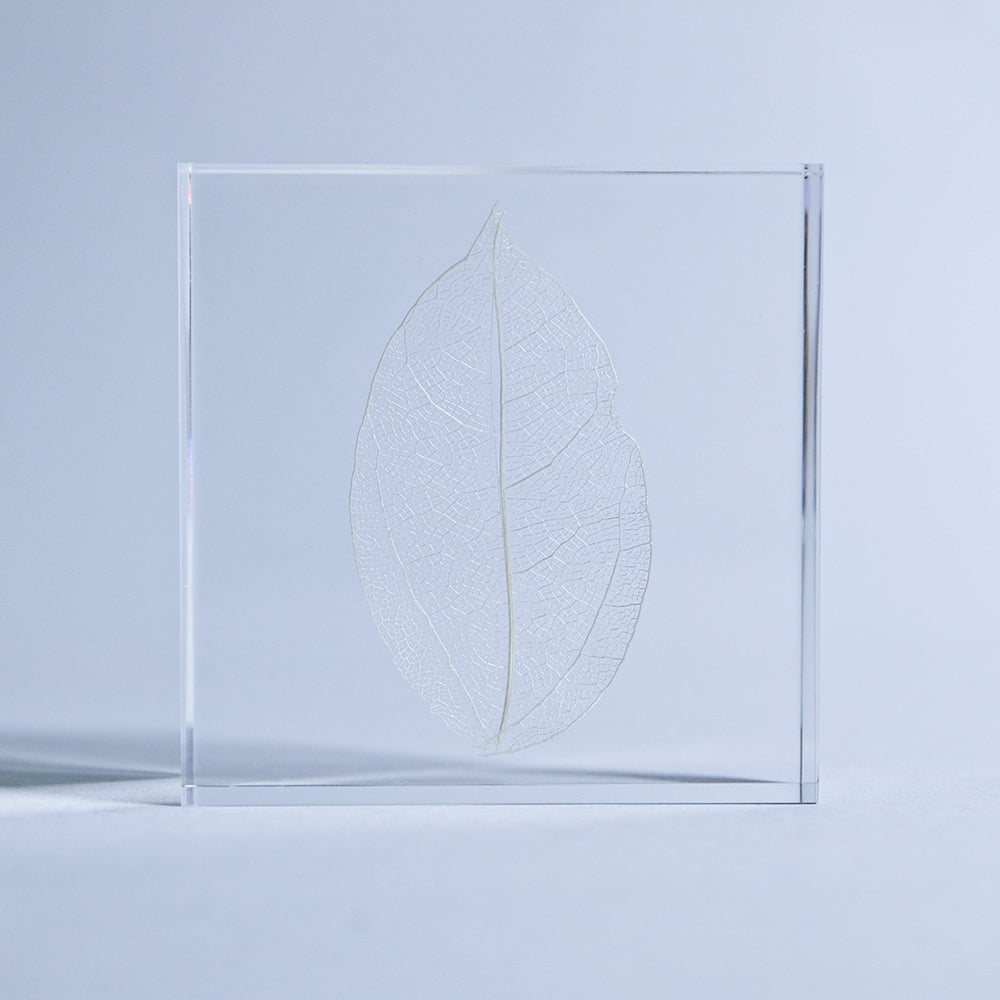 Skeleton Leaf Sola Tile