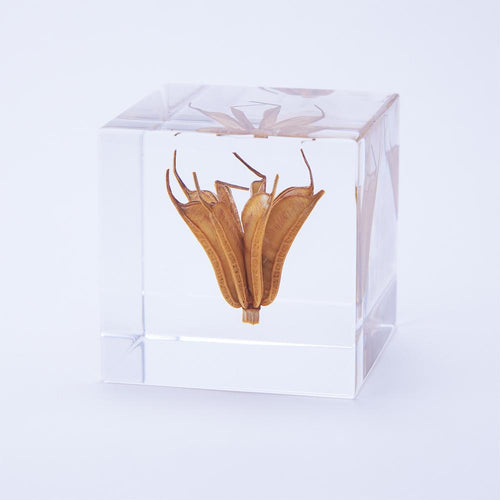 Load image 1 in gallery view