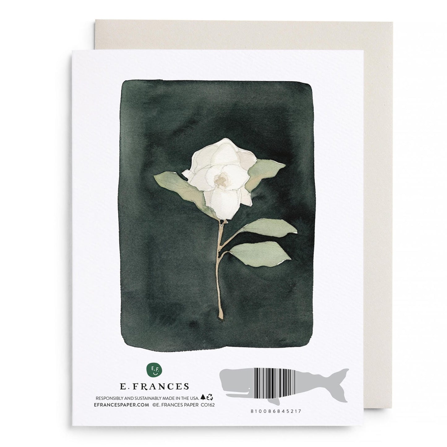 White Flower Sympathy Card