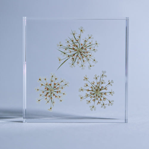 Load image 1 in gallery view