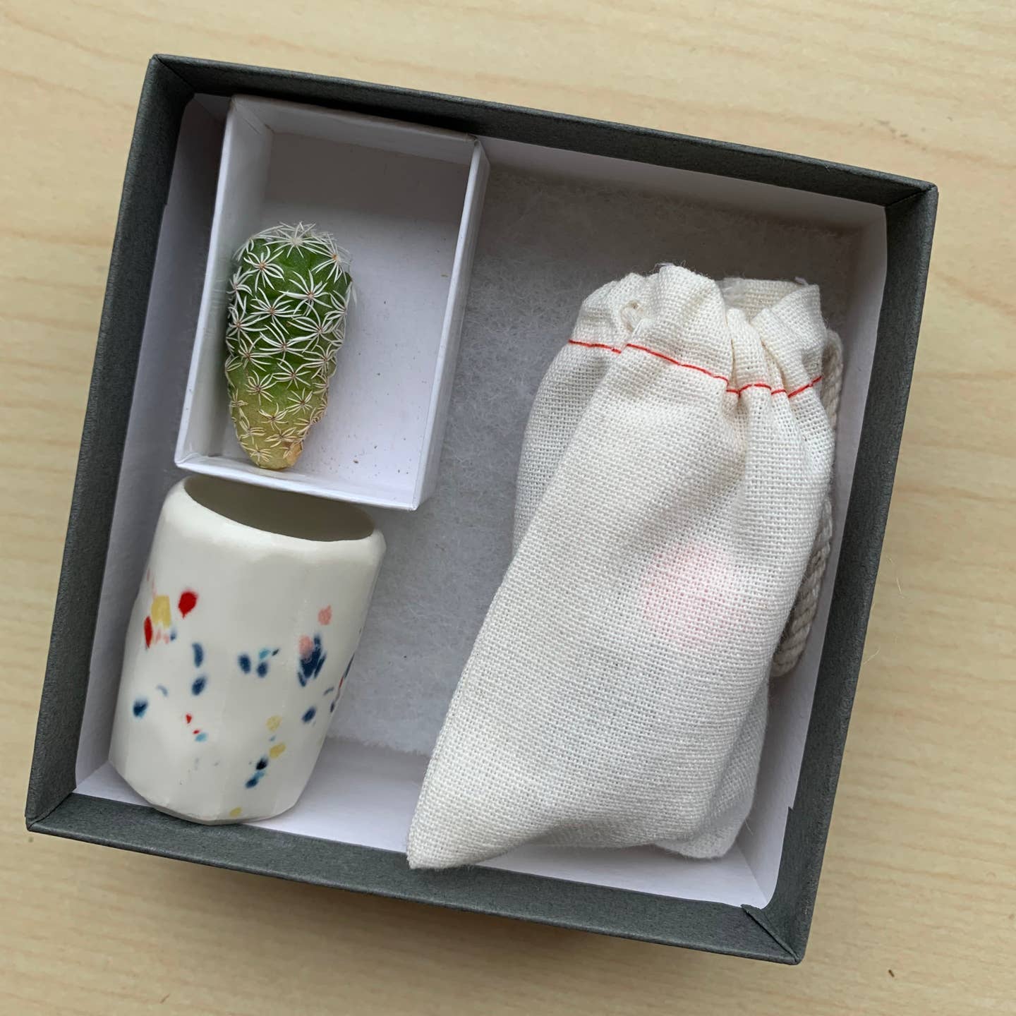 Mini Cactus Kit with Handmade Ceramic Vase