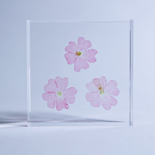 Load image 1 in gallery view