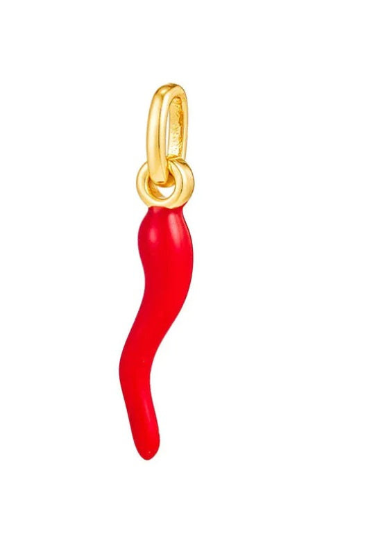Guardiano Charm