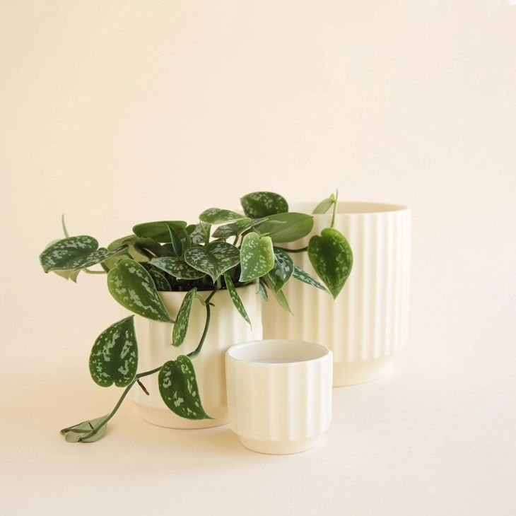 Monroe Planter 6.75" - Vintage White