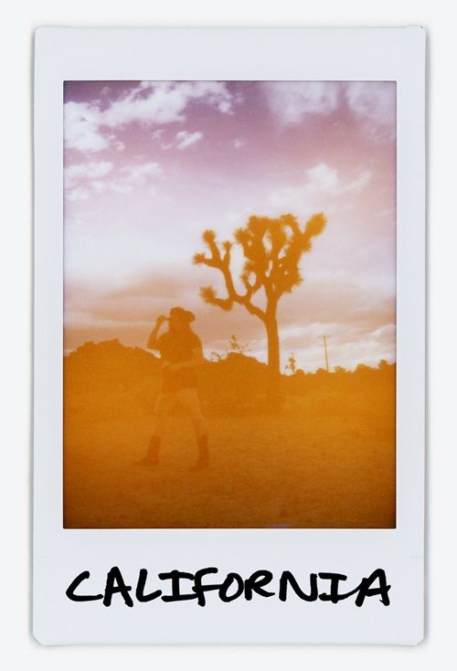 Mystery Cowgirl Postcard